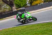 anglesey;brands-hatch;cadwell-park;croft;donington-park;enduro-digital-images;event-digital-images;eventdigitalimages;mallory;no-limits;oulton-park;peter-wileman-photography;racing-digital-images;silverstone;snetterton;trackday-digital-images;trackday-photos;vmcc-banbury-run;welsh-2-day-enduro